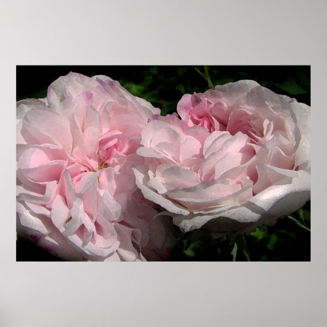 Póster Leda (Frente)