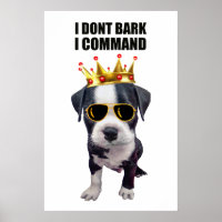 Legal cão bebê com frase engraçada no topo