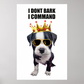Poster Legal cão bebê com frase engraçada no topo