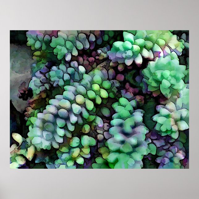 Póster Legal Hued Burro's Tails no Deserto Quente (Frente)