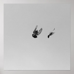 Poster Legal moderno pássaro voador B&W simples design m