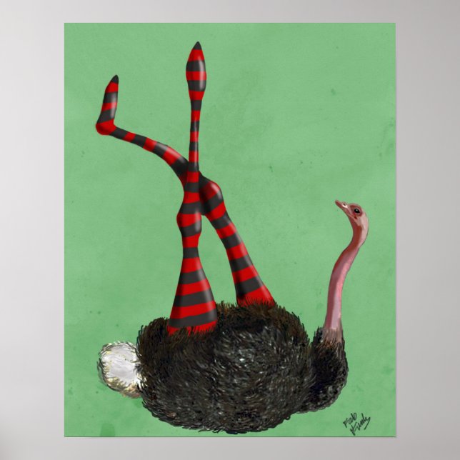 Póster Leggens em tiras de avestruz (Frente)