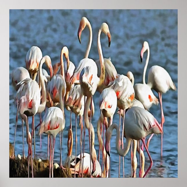Poster Legitimidade Dos Flamingos Rosa Artísticos (Frente)