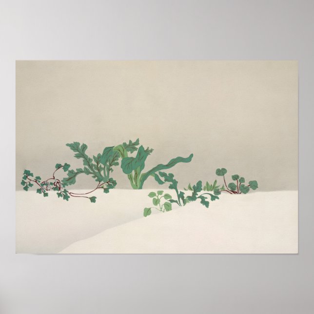 Poster Legume Verde (Frente)