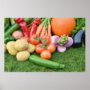 Póster Legumes de outono