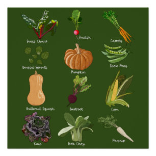 Póster Legumes de Outono Colheita de Legumes de Outono