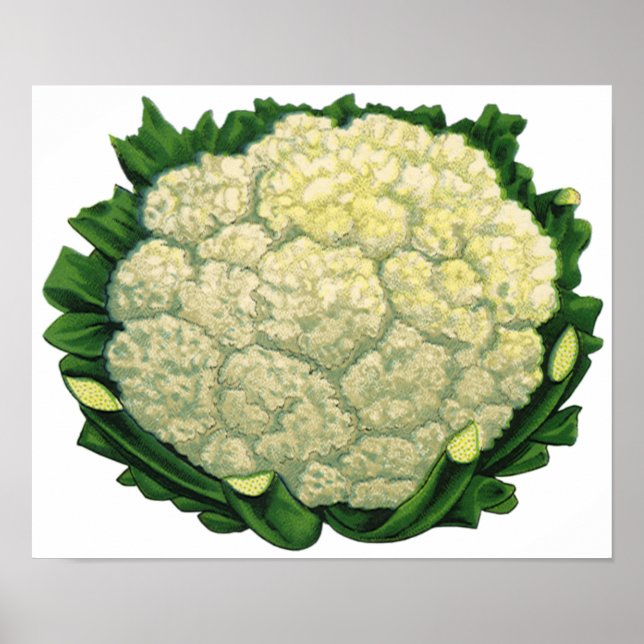 Póster Legumes Vegetais Couve-Flor Comida Antiga (Frente)