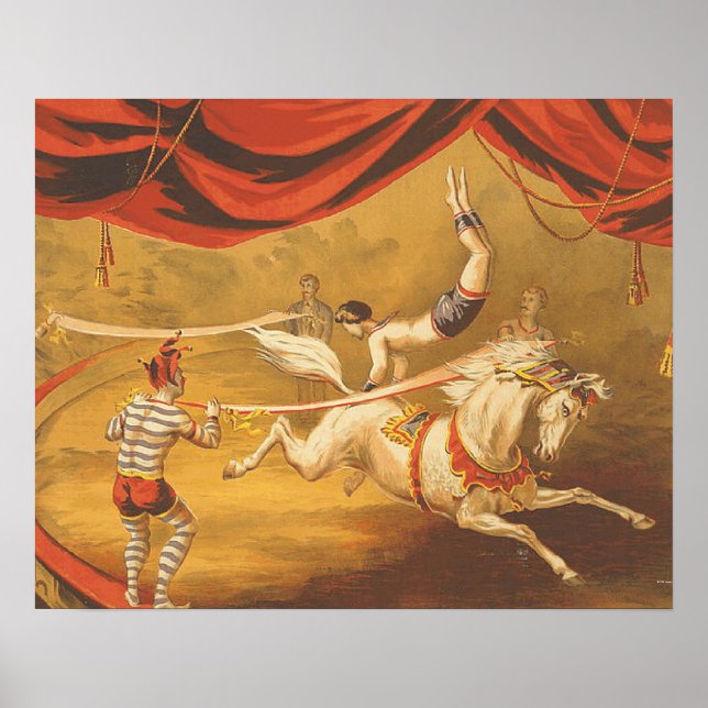 Póster Lei relativa ao Circus do TEE (Frente)