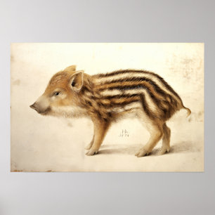 Póster LEITÃO DE JAVALI / Desenhos de Animais