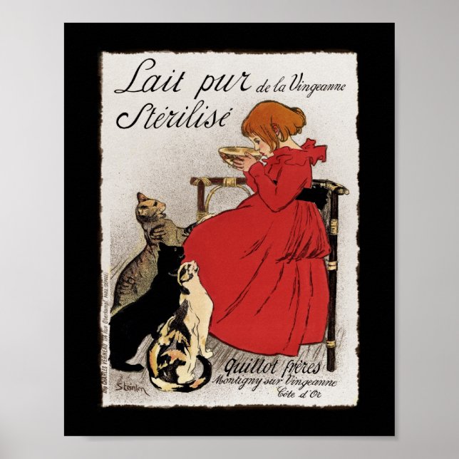 Poster Leite de ensaio para os Gatinhos (Frente)