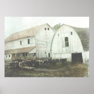 Póster Leiteria de Amish