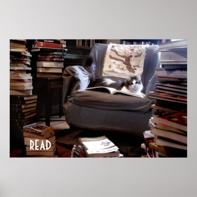 Póster Leitura (Frente)