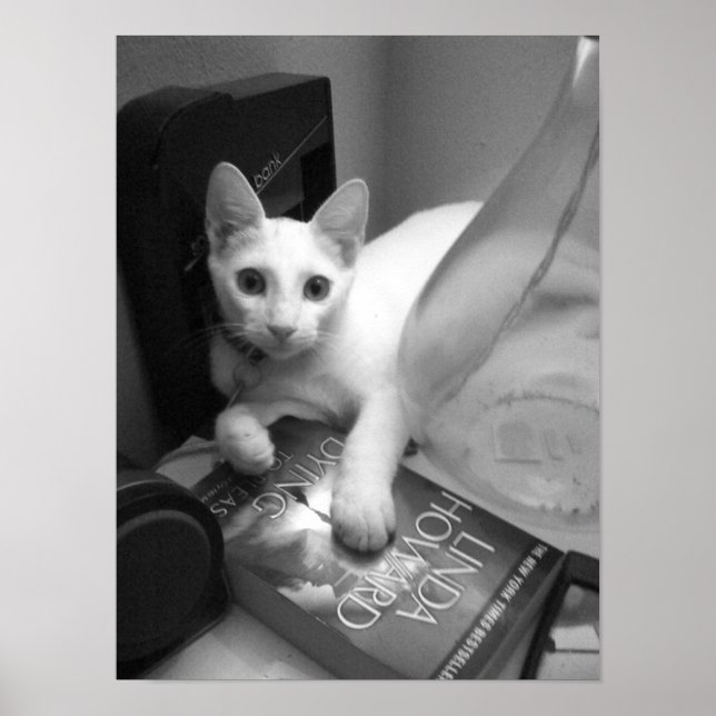 Póster Leitura (Frente)