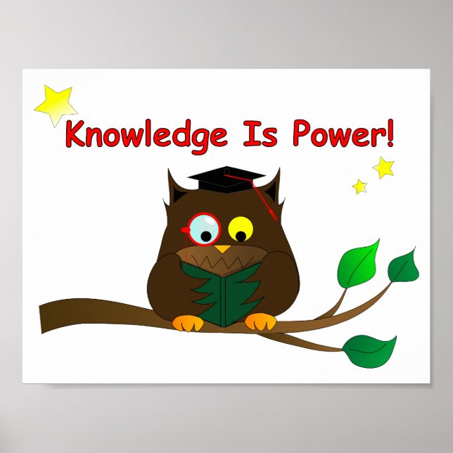 Poster Leitura de Wise Owl (Frente)