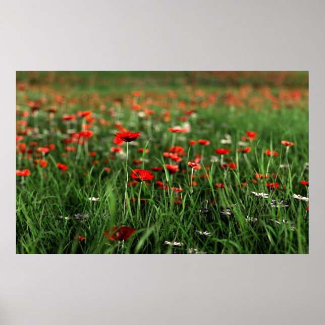 Poster Lembrança (Dia da Lembrança) (Frente)