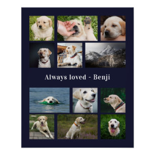 Póster Lembrança para Amantes de Animais de Estimação