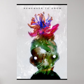 Póster Lembre-Se De Crescer