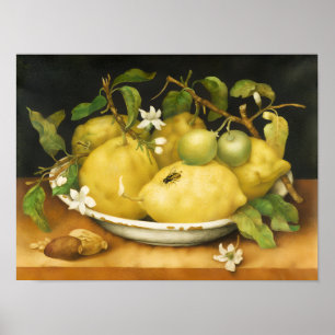 PÓSTER LEMÕES FRUTAS DA SEASON E FLORES BRANCOS