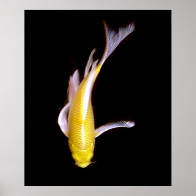 Poster Lemon Butterfly Koi (Frente)