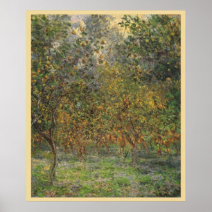 Poster Lemon Grove em Bordighera por Claude Monet