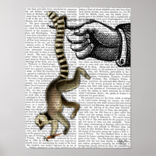Póster Lemur atado anel no dedo