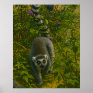 Poster Lemur in Bloom - Explorador à Medida do Anel