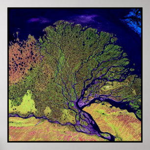 Póster Lena Delta Rússia