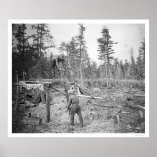 Póster Lenhador em Alaska 1916