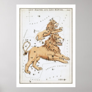 Poster Leo Astrology Zodiac