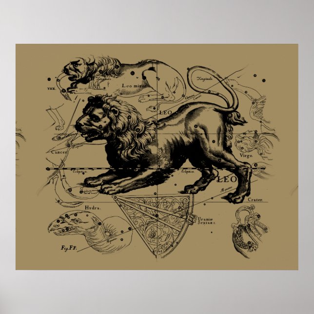 Póster Leo Constellation Hevelius 1690 julho23 - 22 de ag (Frente)