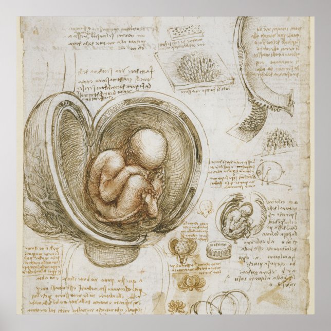 Poster Leonardo da Vinci (Frente)