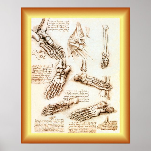 Poster Leonardo da Vinci ~ Anatomia dos Pés ~ (Frente)