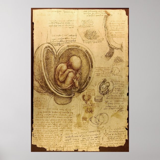 Póster Leonardo Da Vinci - Estudo da Anatomia (Frente)