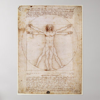 Poster Leonardo da Vinci Vitruvian