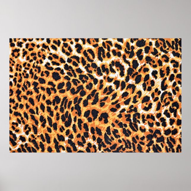 Poster leopard fur as backgroundleopard,pattern,print,ski (Frente)
