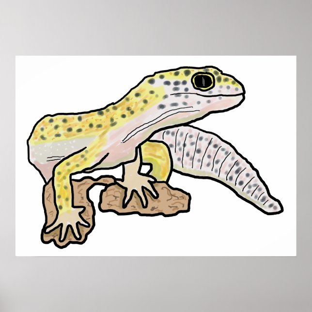 Poster Leopard Gecko (Frente)