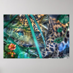 POSTER LEOPARD GREEN EYES GAZER