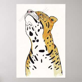 Póster Leopardo