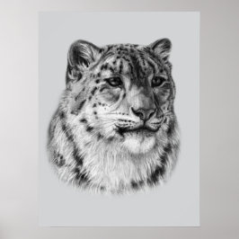 Poster Leopardo-da-Neve Desenhado À Mão