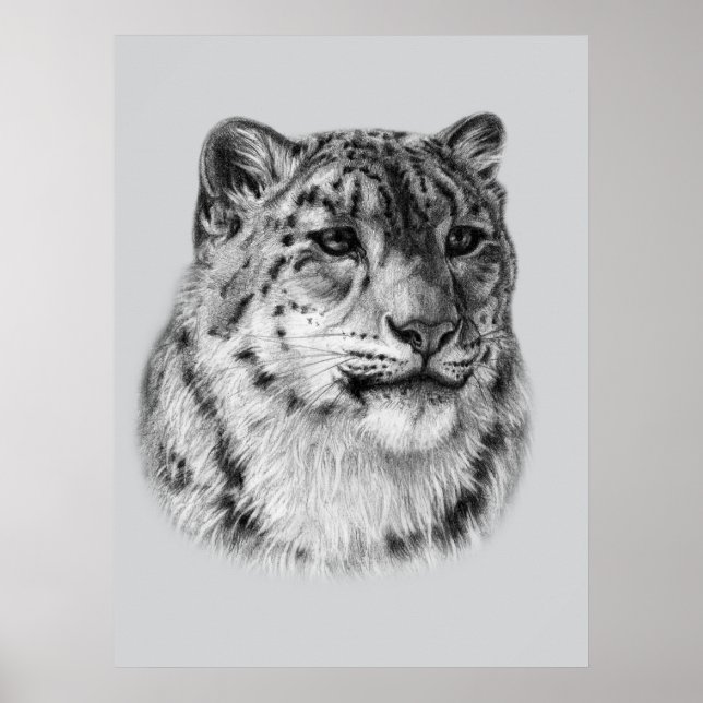 Poster Leopardo-da-Neve Desenhado À Mão (Frente)