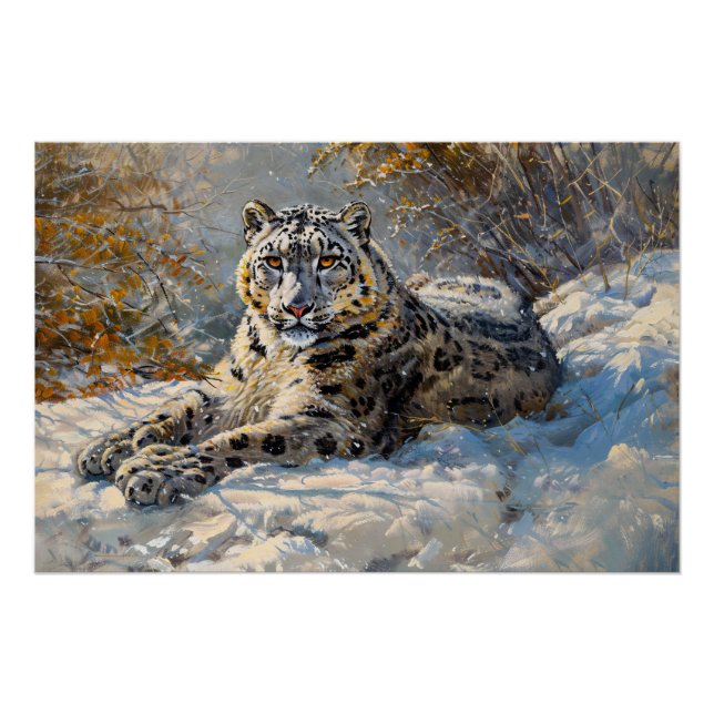 Póster Leopardo-da-neve dormindo na neve (Frente)