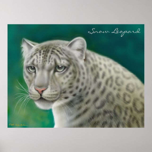 Póster Leopardo da neve em perigo (Frente)