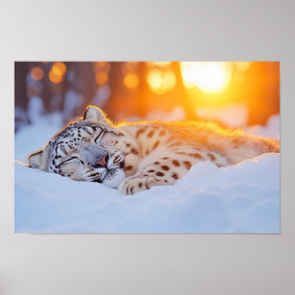 Poster Leopardo-das-neves Animal Selvagem Ambiente Natura