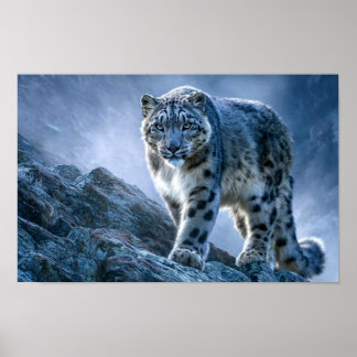 Poster Leopardo-das-neves no Pico da Montanha – Vida Selv