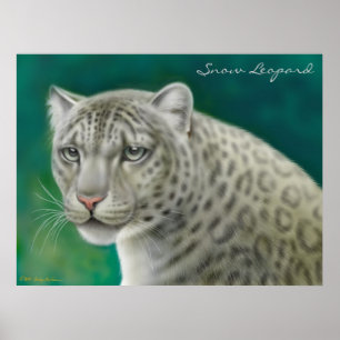Póster Leopardo de neve psto em perigo