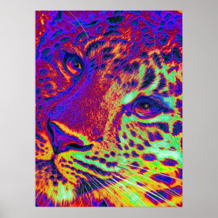 Póster leopardo do dayglow