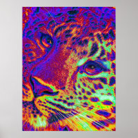 leopardo-do-sol