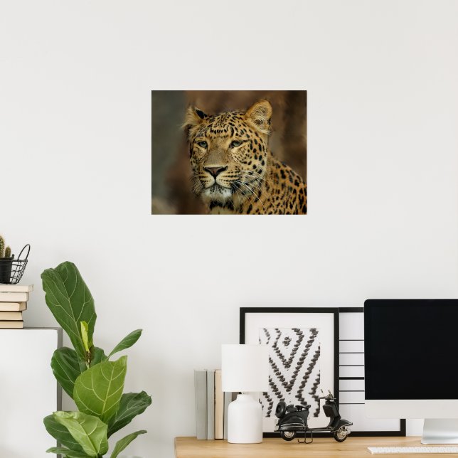 Póster Leopardo Lovers Art (Escritório em casa)