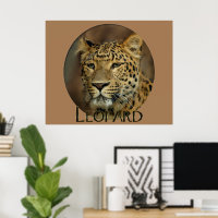 Leopardo Lovers Art