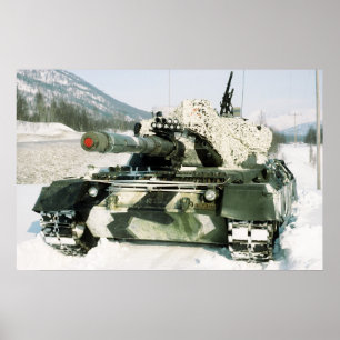 Póster Leopardo norueguês 1